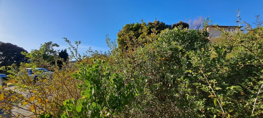 0 Bedroom Property for Sale in Upper Robberg Western Cape
